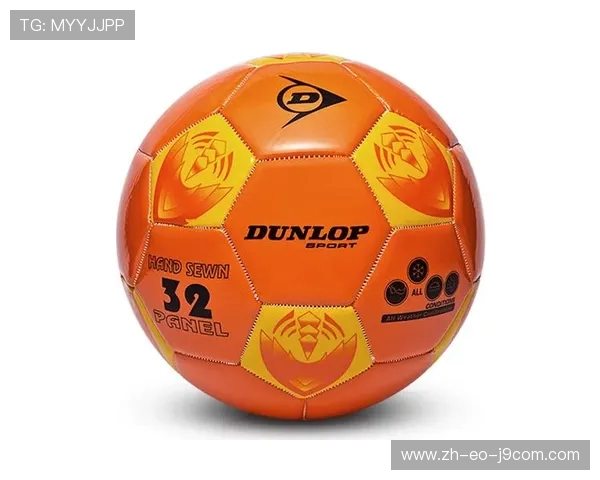 围绕比赛五号足球标准解析赛事用球规范与关键技术要点特性探讨研